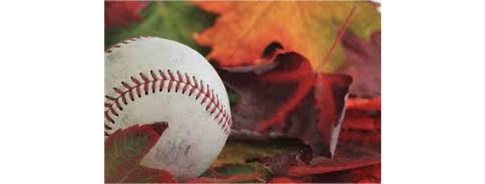2023 Fall Ball Registration Now Open